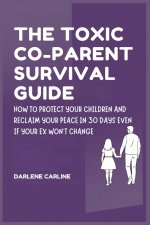 The Toxic Co-Parent Survival Guide