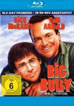 Big Bully - Mein liebster Feind