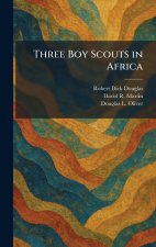 Three Boy Scouts in Africa