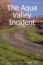 The Aqua Valley Incident