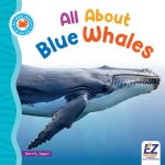 All about Blue Whales