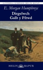 Dirgelwch Gallt y Ffrwd