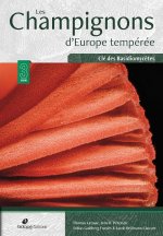 Les Champignons d'Europe tempérée - Clé des Basidiomycètes