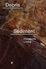From Debris to Sediment