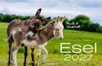 Esel 2027