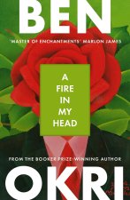 A Fire in My Head