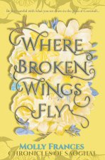 Where Broken Wings Fly