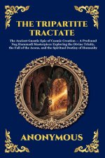 The Tripartite Tractate