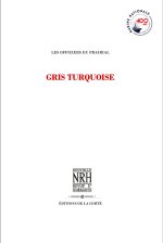 GRIS TURQUOISE