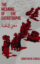 The Meaning of the Disaster - Constantin Zureiq