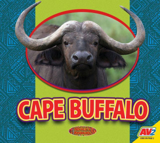 Cape Buffalo