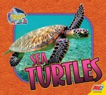 Sea Turtles