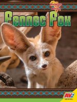 Fennec Fox