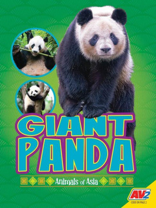 Giant Panda