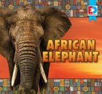 African Elephant
