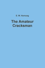 Amateur Cracksman