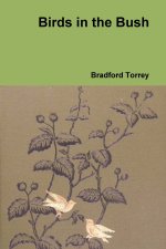 Birds in the Bush