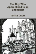 The Boy Who Apprenticed to an Enchanter