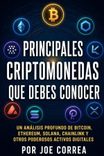 Principales Criptomonedas Que Debes Conocer