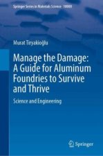 Manage the Damage: A Guide for Aluminum Foundries to Survive and Thrive