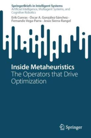Inside Metaheuristics