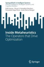 Inside Metaheuristics