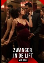 Zwanger in de Lift