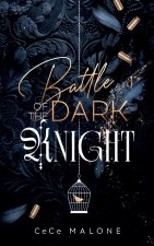 Battle of the dark Knight