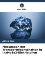Messungen der Transporteigenschaften in InxMoSe2-Einkristallen