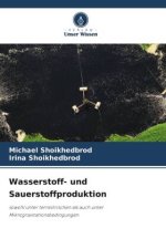 Wasserstoff- und Sauerstoffproduktion