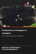 Produzione di idrogeno e ossigeno