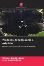Produção de hidrogénio e oxigénio