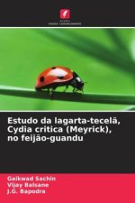 Estudo da lagarta-tecelã, Cydia critica (Meyrick), no feijão-guandu