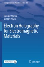 Electron Holography for Electromagnetic Materials