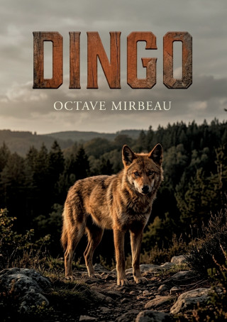 Dingo