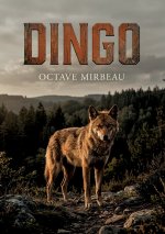 Dingo
