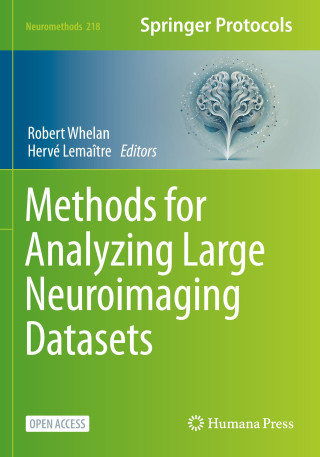 Methods for Analyzing Large Neuroimaging Datasets