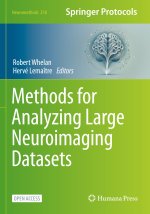 Methods for Analyzing Large Neuroimaging Datasets