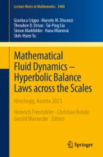 Mathematical Fluid Dynamics - Hyperbolic Balance Laws across the Scales
