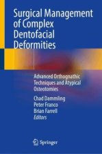Multidisciplinary Management of Severe Dentofacial Deformities