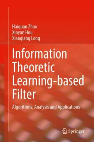 Information Theoretic Learning-based Filter