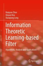 Information Theoretic Learning-based Filter
