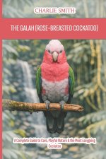 The Galah (Rose-Breasted Cockatoo)