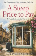 A Steep Price to Pay