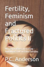 Fertility, Feminism and Fractured Politics II