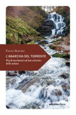 anarchia del torrente. Piccoli movimenti sul lato
