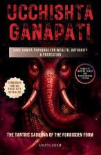 Ucchishta Ganapati