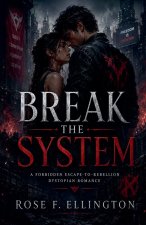 Break the System