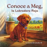 Conoce a Meg, la Labradora Roja