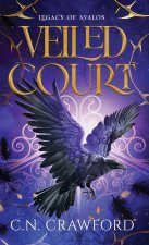 Veiled Court